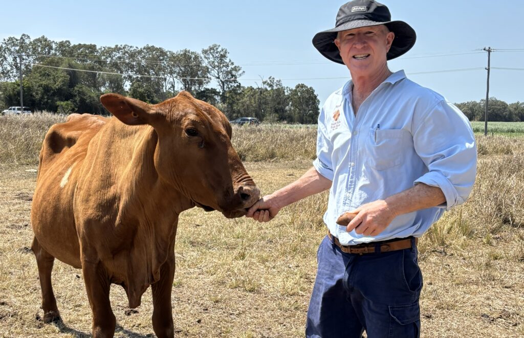 Meet the Farmers Feeding Bundaberg in Our Next Magazine Edition