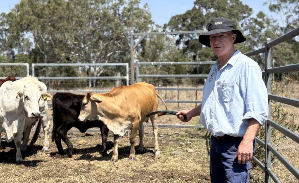 Feeding Bundaberg: Robert Doyle’s Legacy in Local Farming